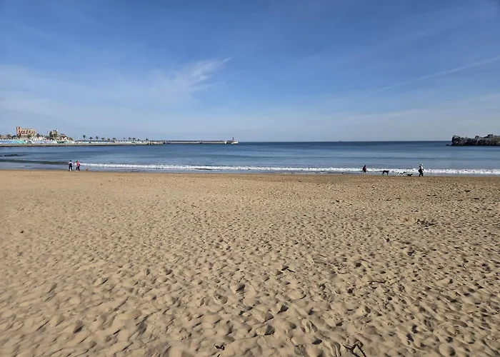 Duplex Frente La Playa De Ostende 아파트